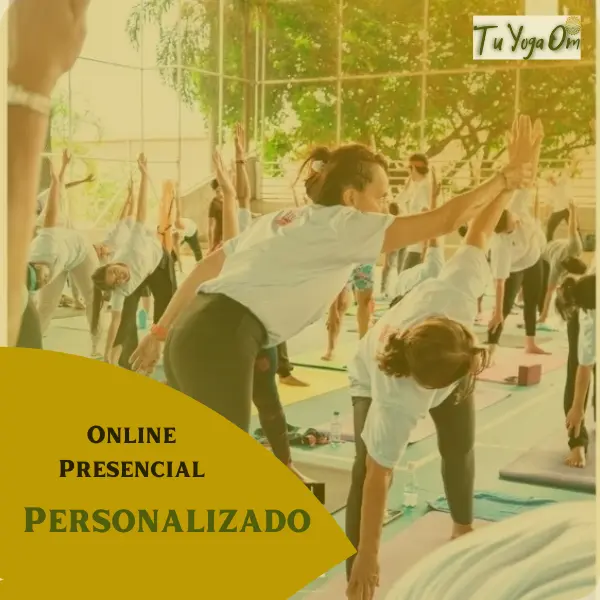 Personalizado PR. 1 Sesión