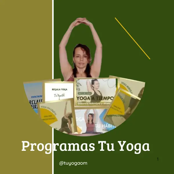 imagen Programas Online